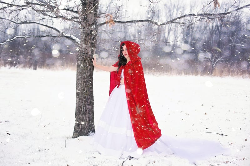Winter Fairy Tale